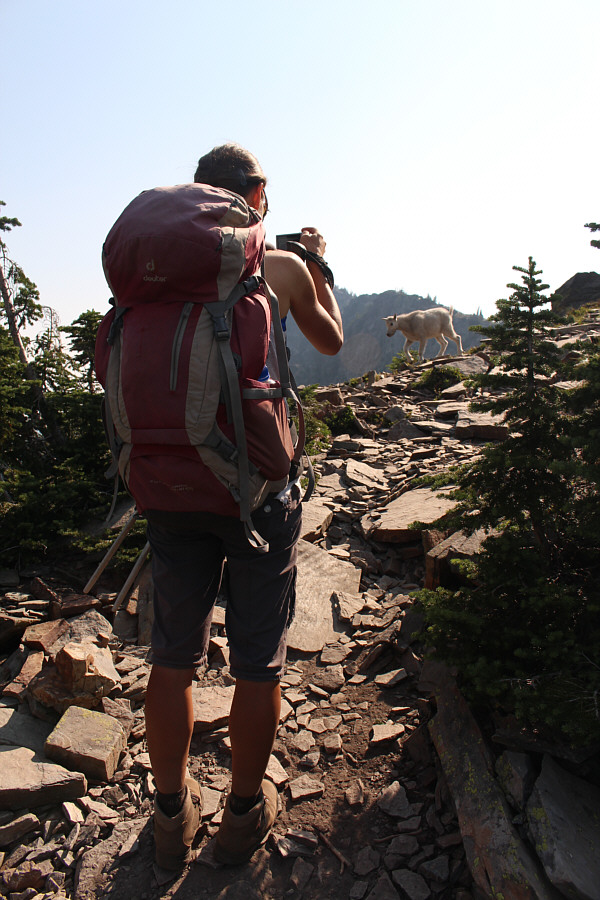 They're both very cute!