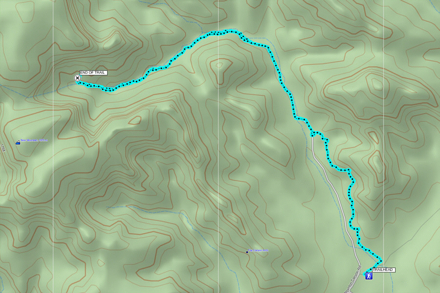 As easy as the trail is, I'm not sure that it's really worthwhile to hike.