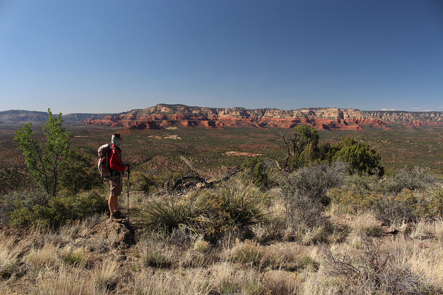 We should have hiked up Bear Mountain instead of Boynton Canyon!