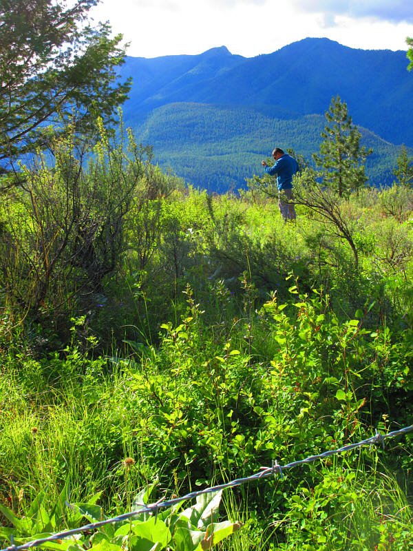 I'm not sure why I even bothered!