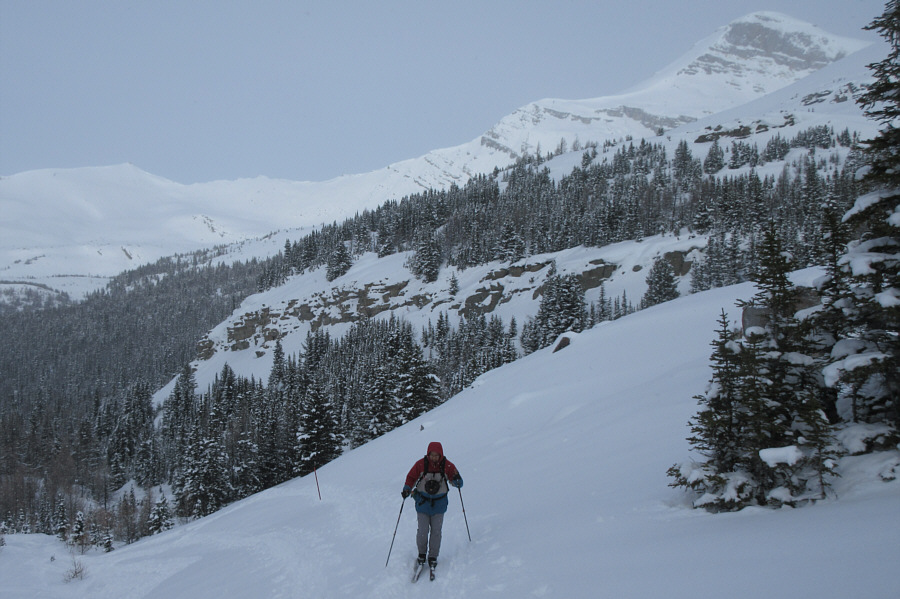 Yeah, I'm tired already!