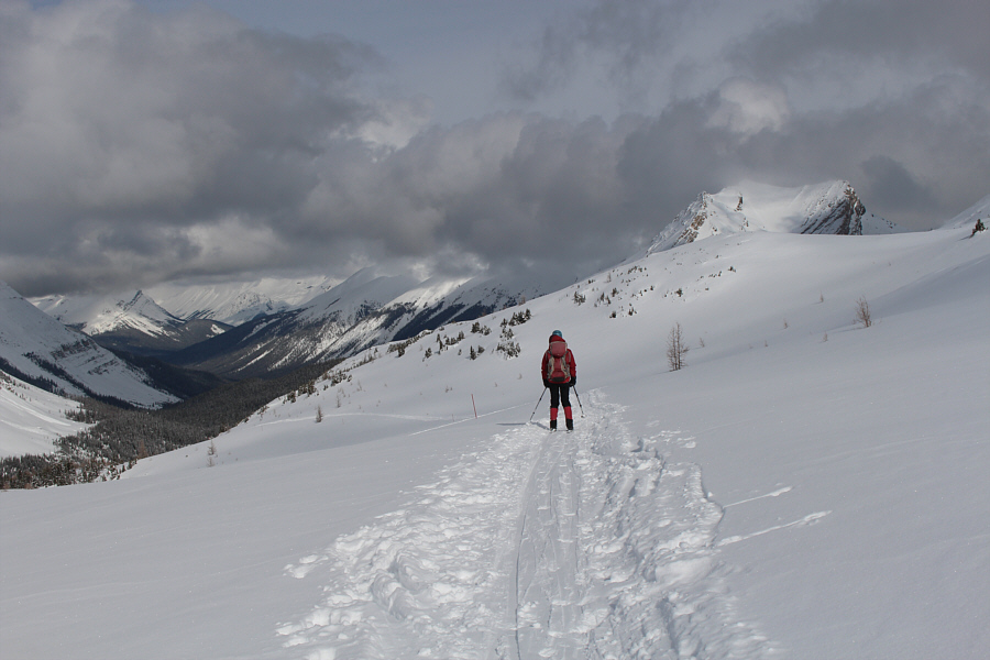 Couldn't we just call it a day right here?