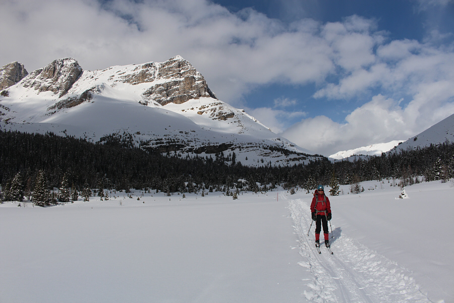 Turning on the cruise control!