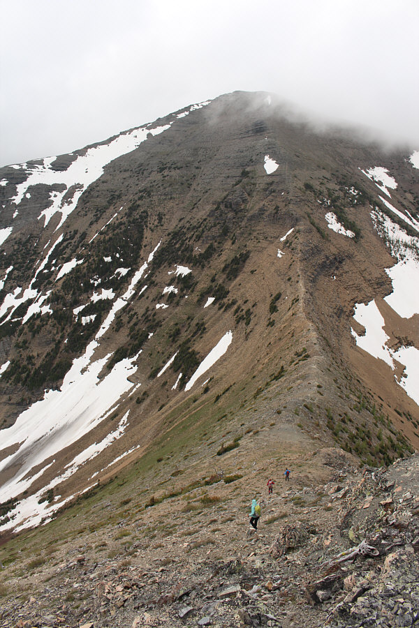 Mostly easy hiking from here to the summit.