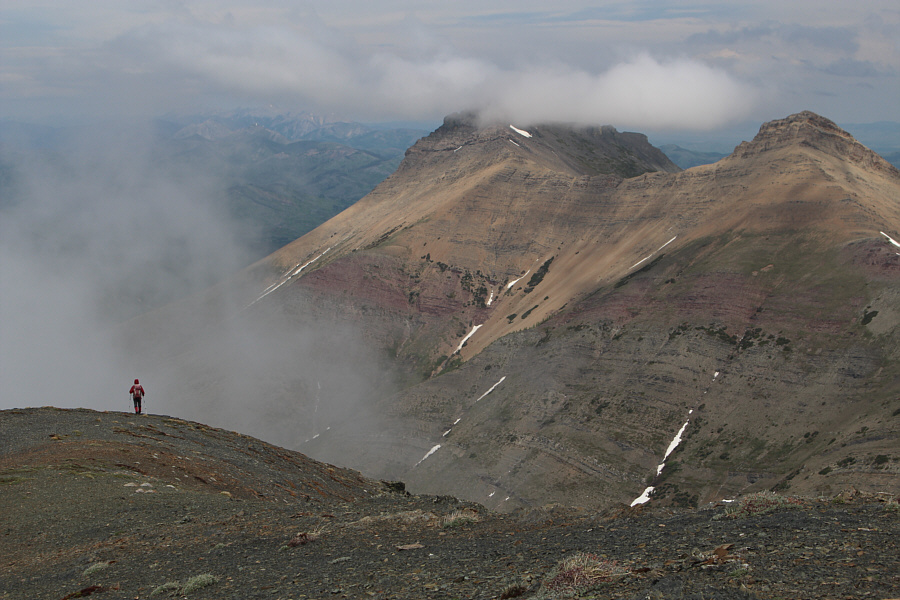 Don't go into the mist!!