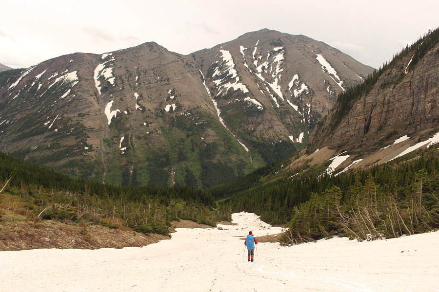 Hmmm, those trees don't look too inviting further down...