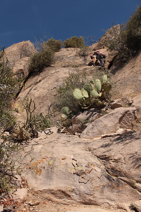 Hardest part is avoiding the cacti and thorny bushes!