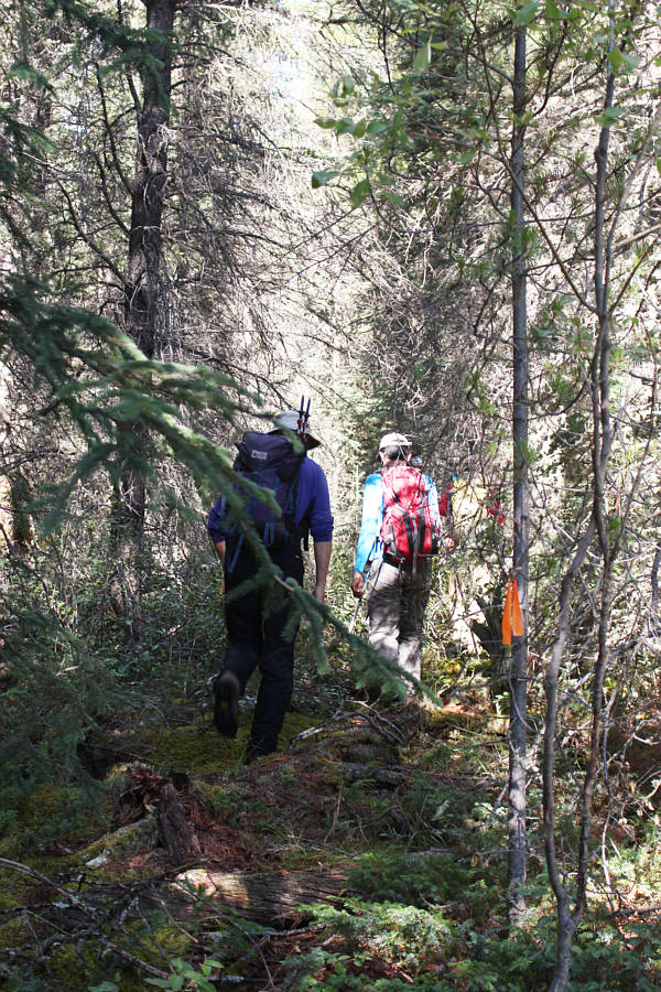 We missed the path on the way in and ended up bushwhacking more than we should have!