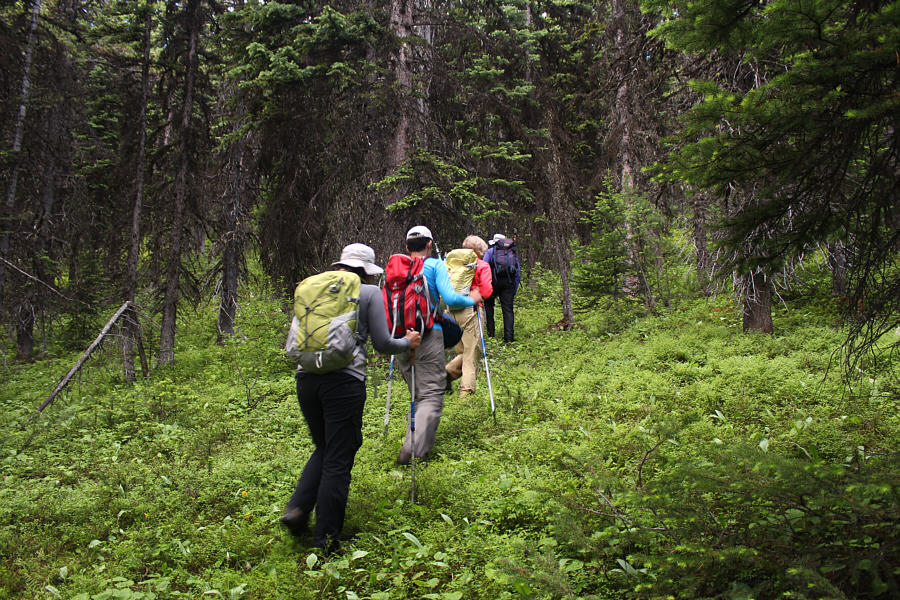 No trail or flagging here; just keep going uphill!