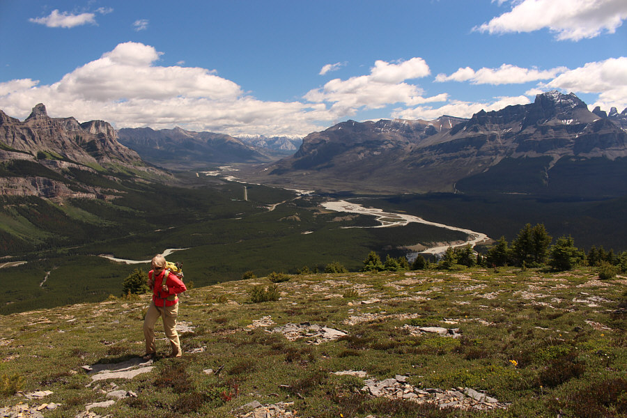 We've paid our dues; now it's time to reap the rewards!