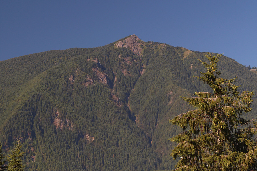 Looks like a nipple!