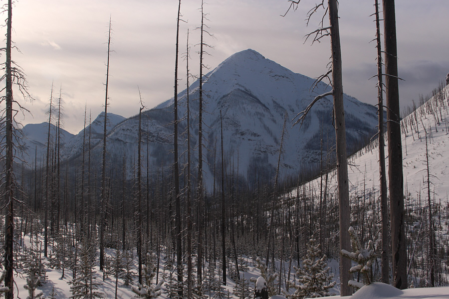 I should climb Vermilion Peak again to get some decent photos...