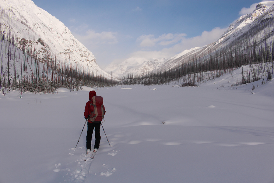 There's a lot of trail-breaking in front of us!