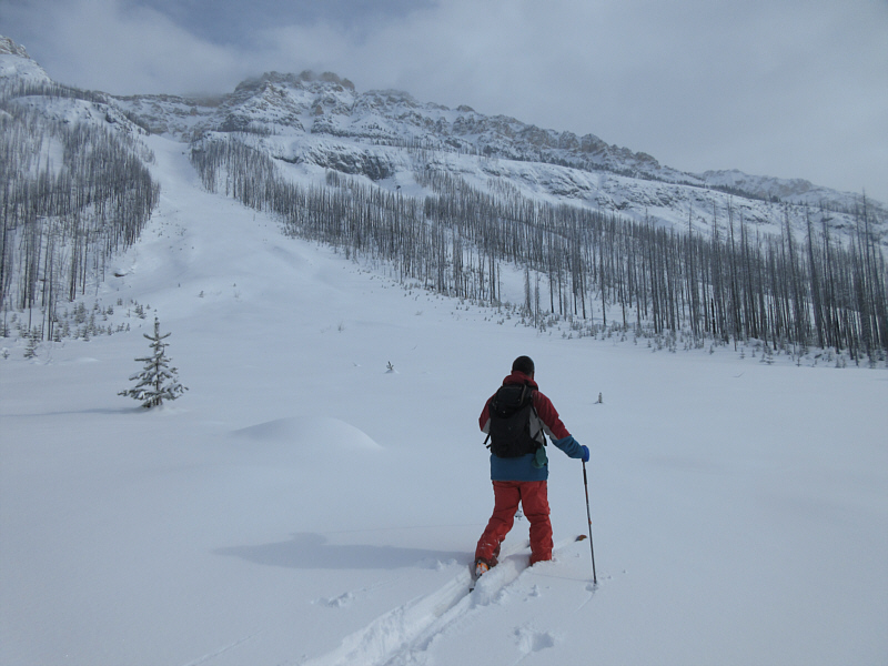 The snow felt pretty safe to me.
