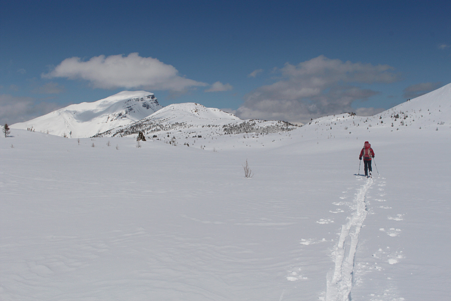 Easy trail-breaking here!