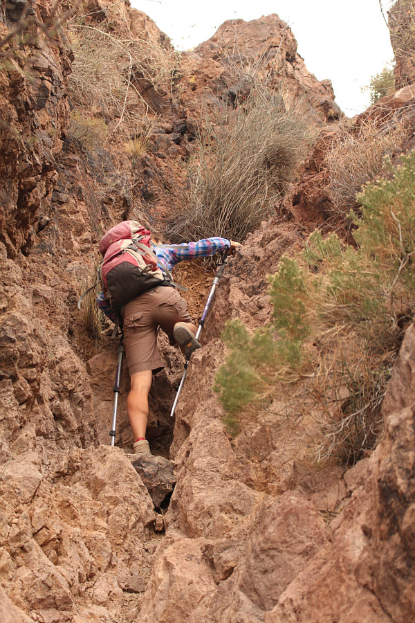 Lotsa fun and no annoying agave plants here!