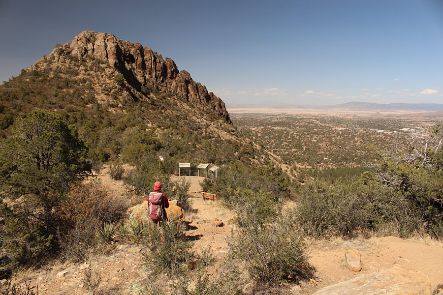 Not bad for a consolation prize!