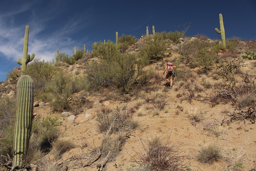 Watch your step when going off-trail in the desert!