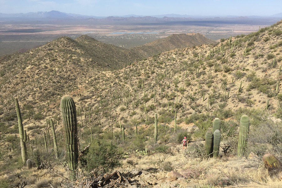 Again, watch your step here!