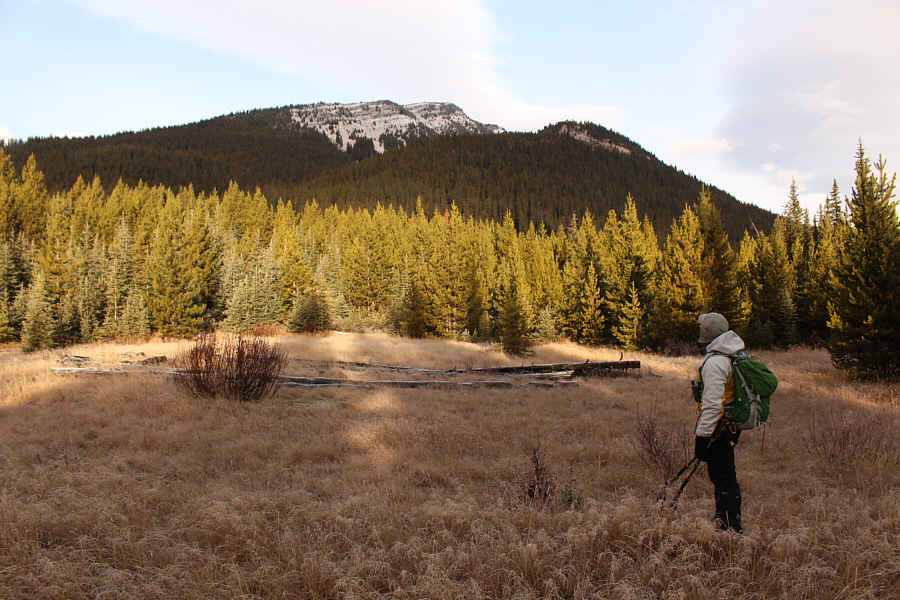 We don't seem to be getting any closer!