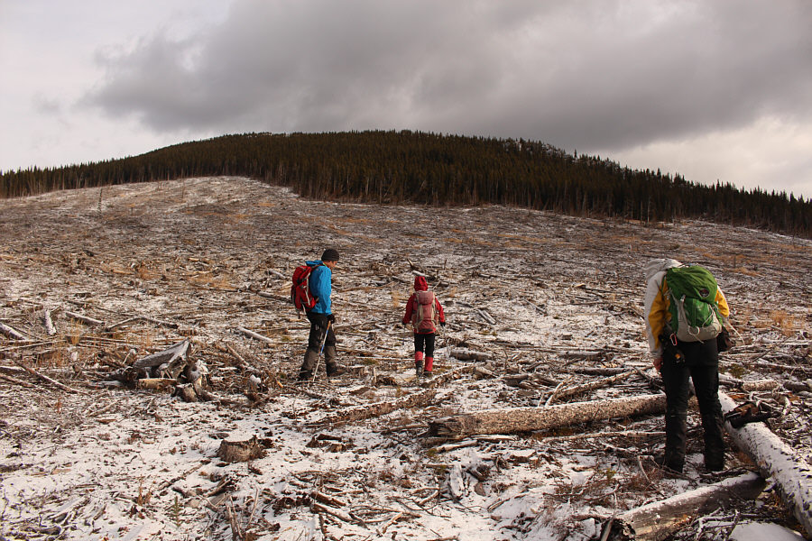 We headed to far right, but you could probably bushwhack straight up the ridge from here.