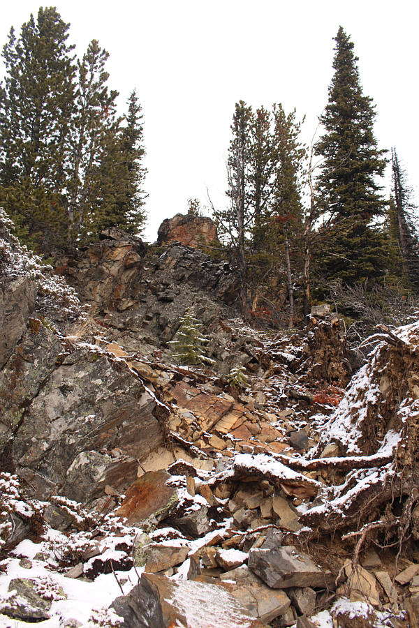 I lost a Fanta Orange pop bottle somewhere along here.