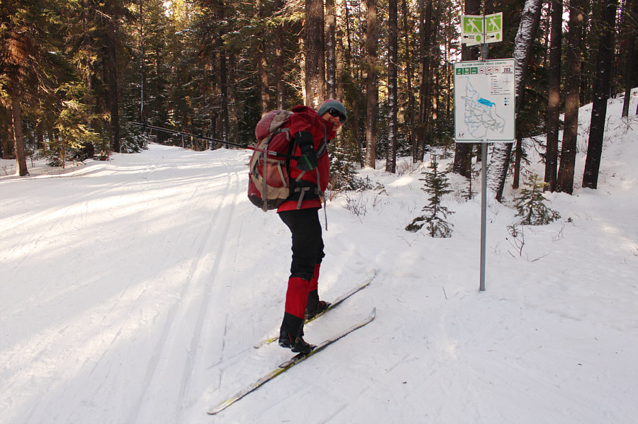 The arm needs to be a bit higher, I think...