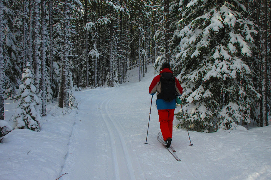 I'm skiing in my downhill ski pants because I forgot to bring my regular cross-country skiing/hiking pants on this trip.