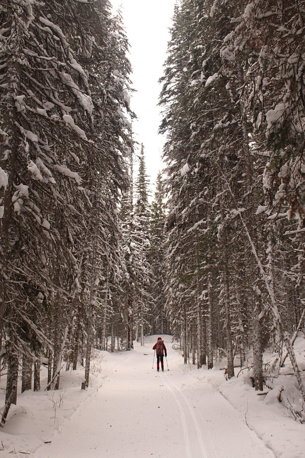 As does the solitude!