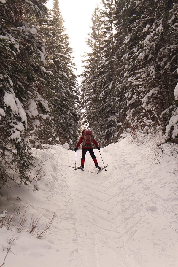 And Zosia loves pickled herrings too!