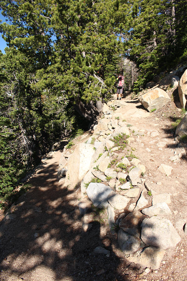 Thank goodness there's not too many of these on this trip!