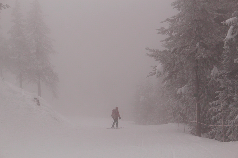 Easy cruising all the way back!