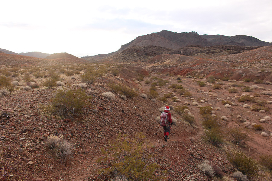 This was my 3rd (and Zosia's 2nd) time hiking up Cottonwood Wash.