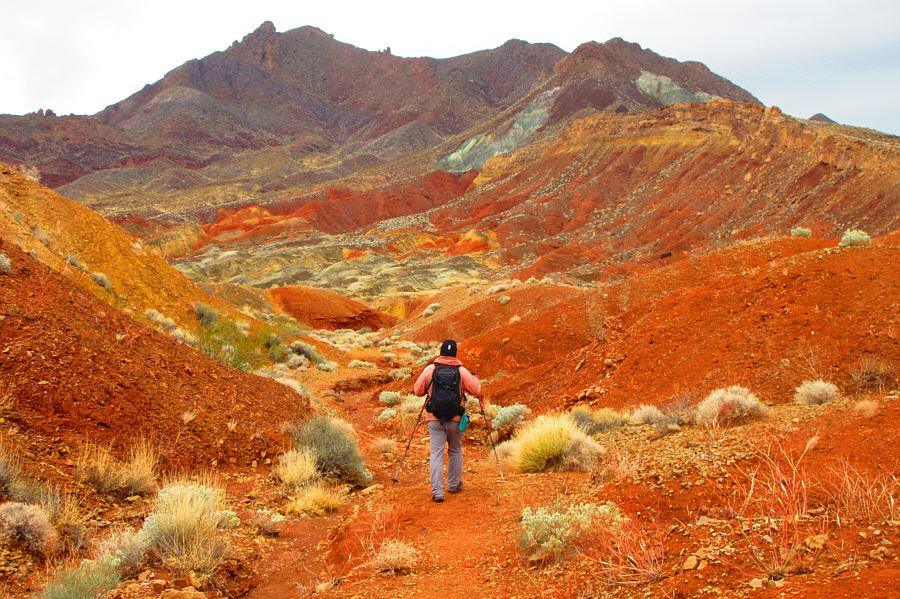 Maybe we should have brought skis...