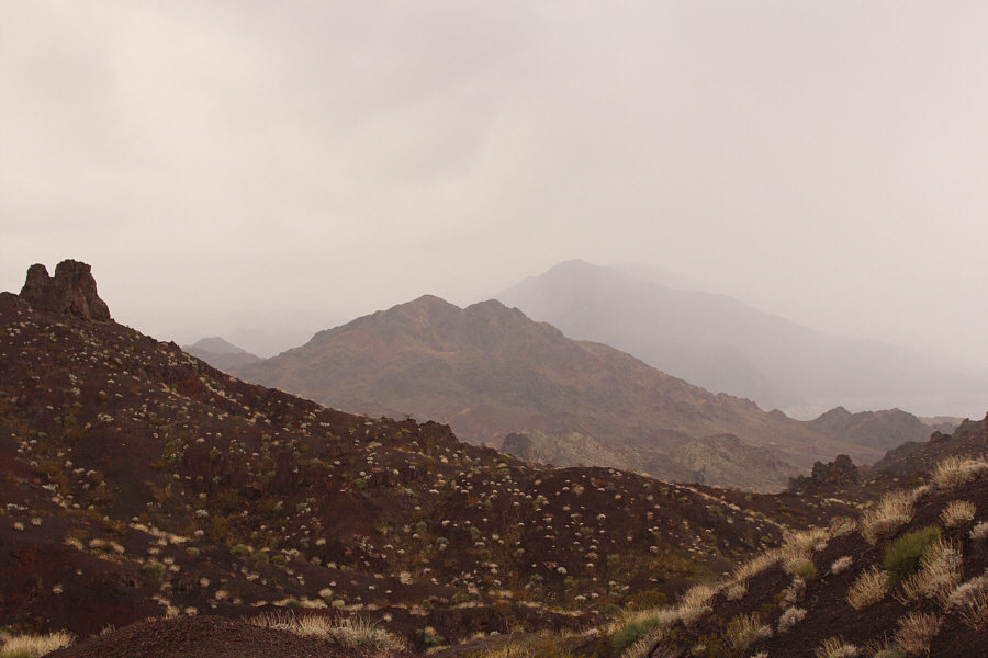 And it's raining...sigh.