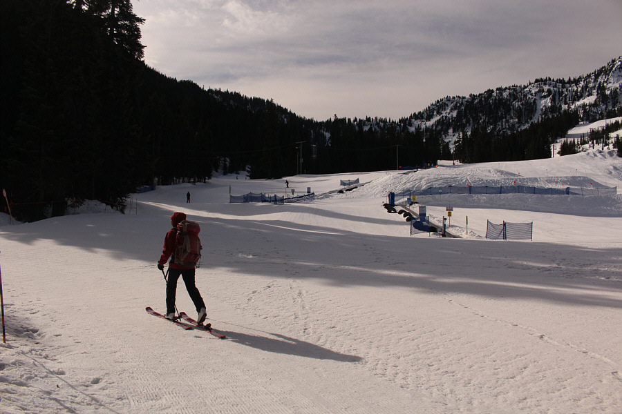 Actually, the ski patroller was just being a dick and not letting us cut through to Promenade on the far side of the trees at centre.