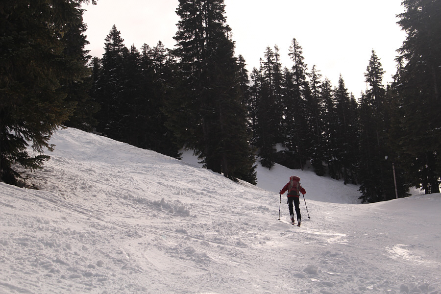 Steeper but not too bad.