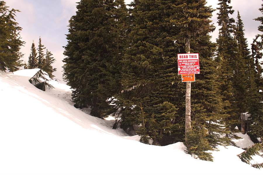 You're basically on your own from this point forward!