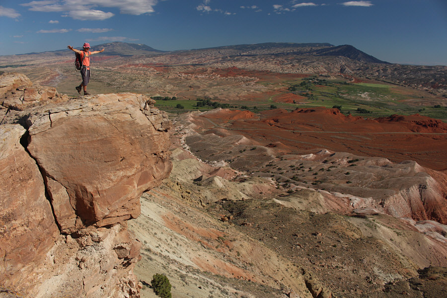 Just call her "Wile E. Coyote"!