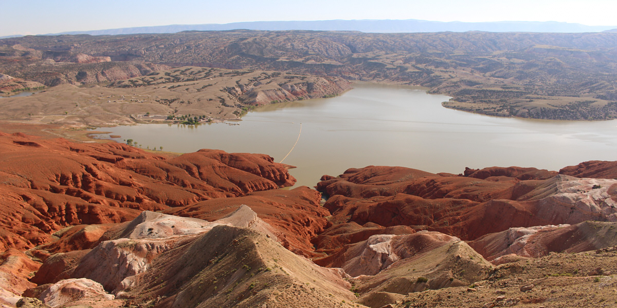 Wow. I wasn't expecting this!