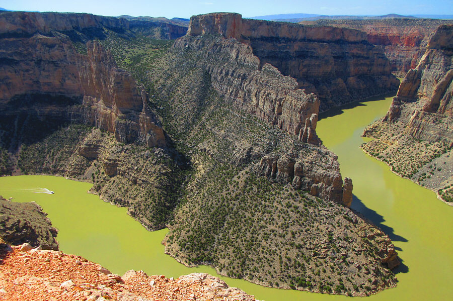 The vivid setting on Zosia's camera makes the river look like a kale shake!