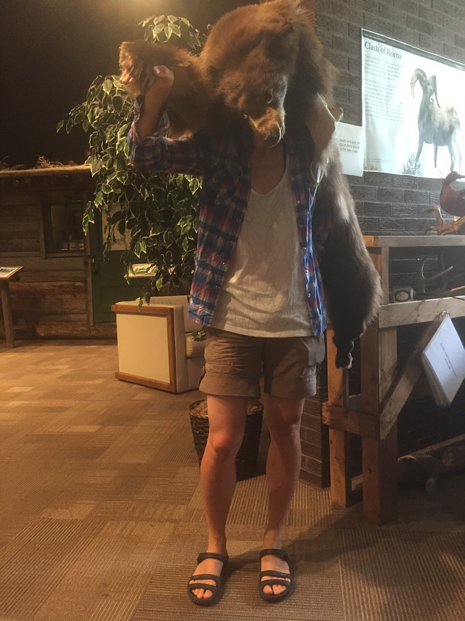 Wake me up next spring!