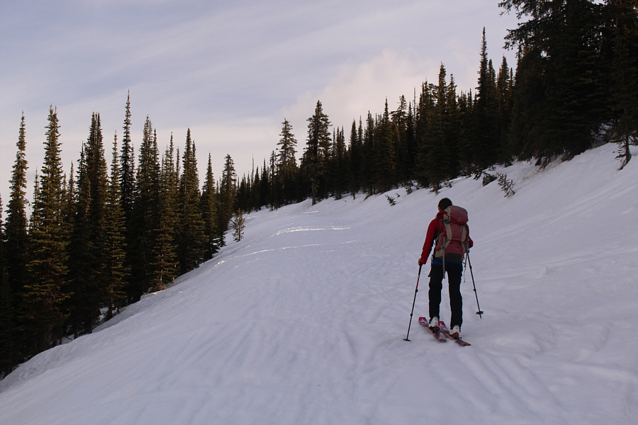 Nice to find some solitude here!