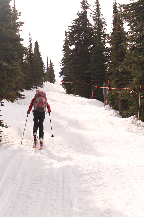 It's a bumpy road...