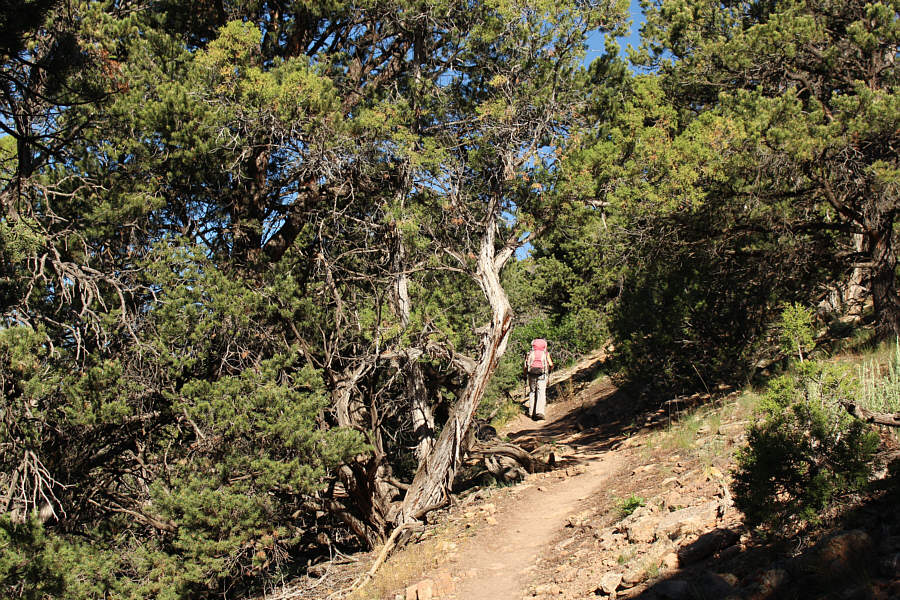 Not much to see along the way...quite boring, really!