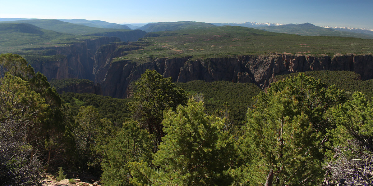 They really need to clear-cut all the trees on top of Green Mountain!