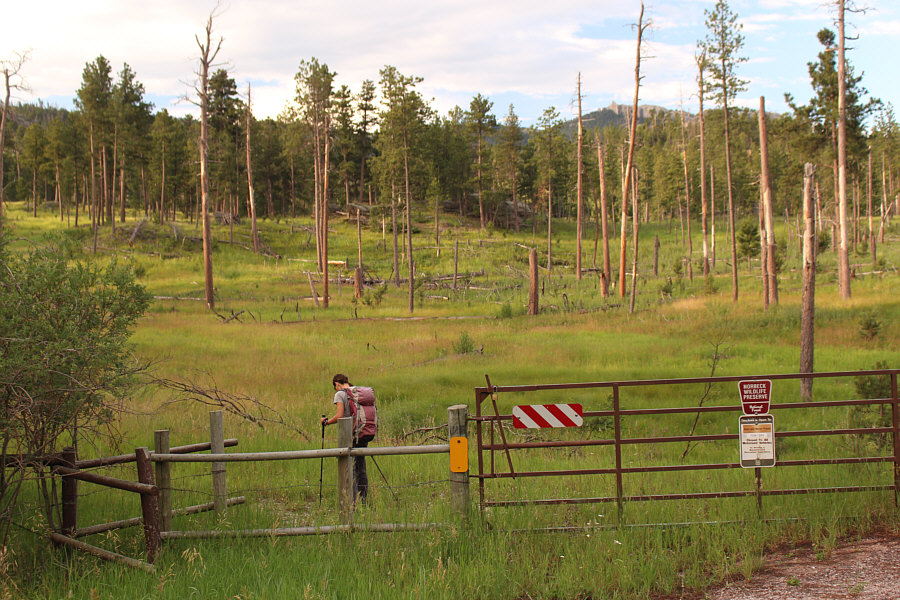 Well, looks like we've got a long walk ahead of us...