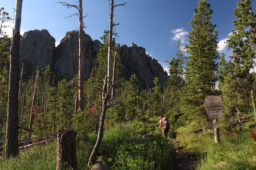 Good. Now we can pee in the woods!
