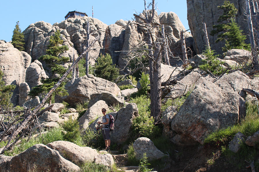 Hard to believe there's a trail going up through this tangle of rocks and bushes!