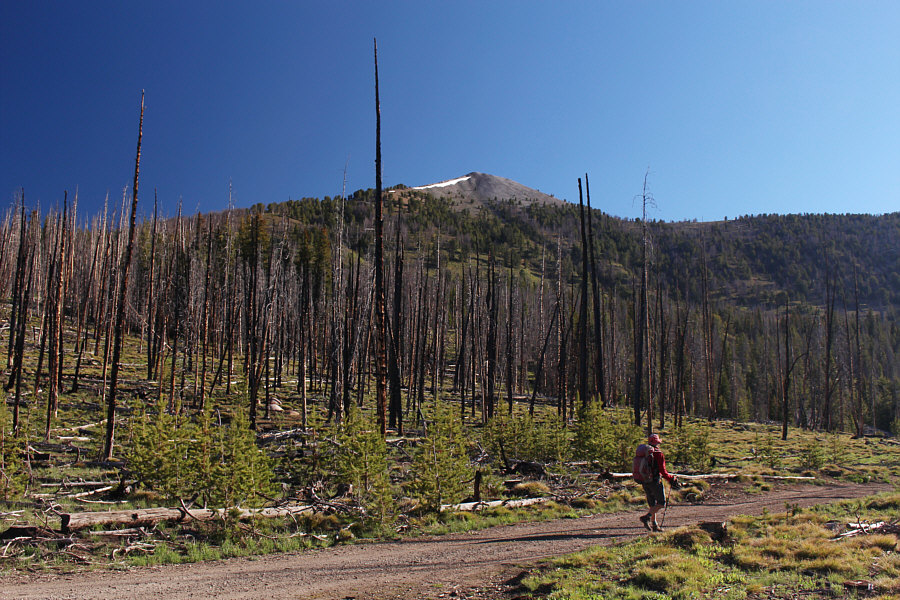 It's hard to resist climbing such an easy peak within sight!